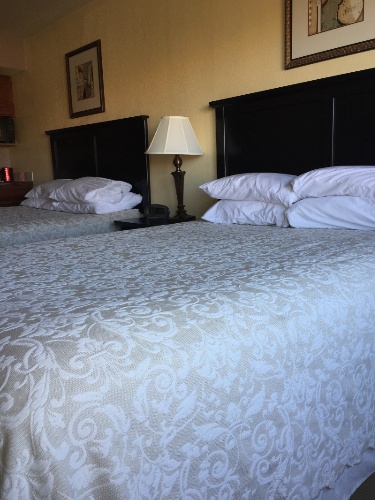 Hilltop Inn Guest House & Suites - 