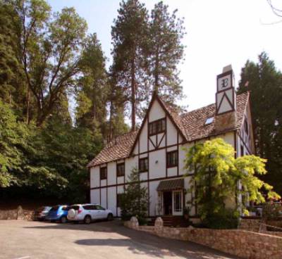 Bracken Fern Manor B & B - 