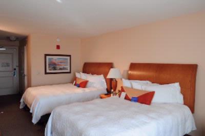 Hilton Garden Inn - Queen Deluxe Room