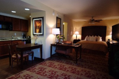 Homewood Suites by Hilton Dtc / Inverness - Studio Suite