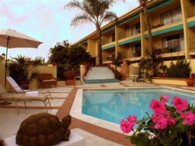 Hotel Pepper Tree - Pool View