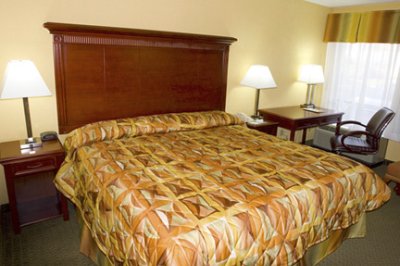 Alexis Inn & Suites Hotel at Airport / Opryland - Alexis Hotel Nashville King Room