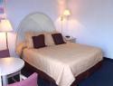 Howard Johnson Kissimmee Heritage Park - King Guest Room