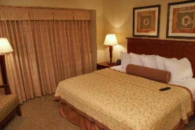 Embassy Suites Denver Tech Center - One Of Our King Suites