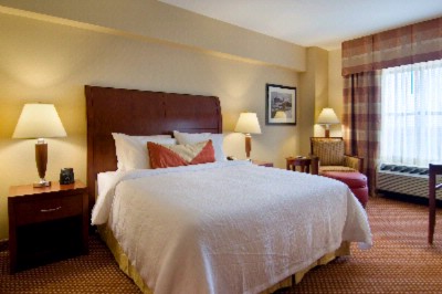 Hilton Garden Inn Houston Sugar Land - King Guest Room