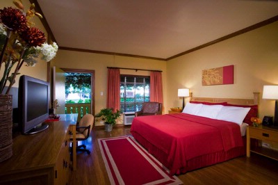 Inn Marin - Standard King Room