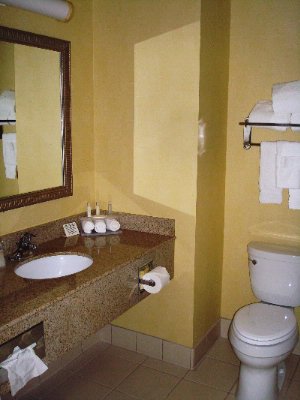 Holiday Inn Express Clovis - Spacious Bathroom