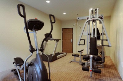 Baymont Inn & Suites Bush Intercontinent Airport - Exercise Room