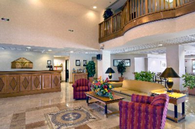 Wingate by Wyndham Tampa Near Usf / Busch Gardens - 