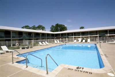 Pool And Courtyard