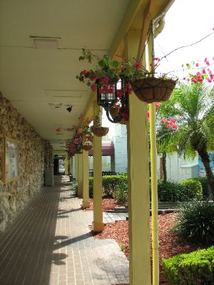 Seralago Hotel & Suites Main Gate East - 