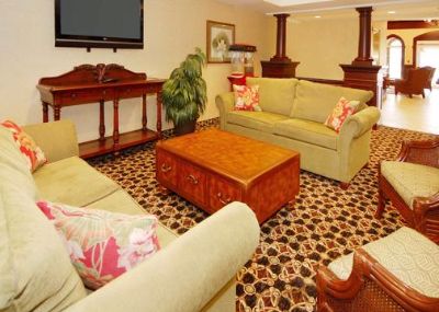 Comfort Suites Jacksonville - Relax In The Public Area