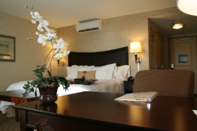 Hampton Inn & Suites Oakland Airport Alameda - Standard King