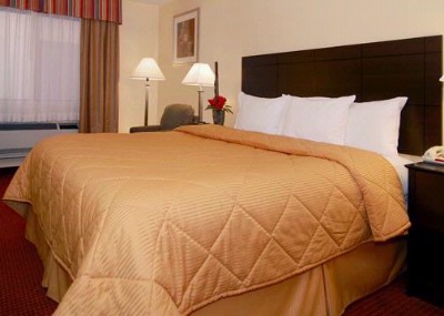 Comfort Inn Rio Rancho - King Bed Room