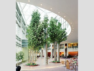 Hilton Boston Logan Airport - Lobby