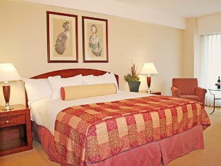 Hilton Boston Logan Airport - Guest Room - King