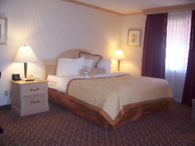 Wyndham El Paso Airport - Standard King