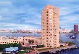 Harbor Tower Apartments - 