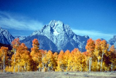Jackson Lake Lodge - 
