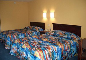 Motel 6 - Motel 6 Newly Renovated Guest Room