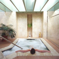 Sonoma Coast Villa & Spa - In Door Jacuzzi