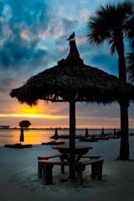 Best Western Sea Wake Beach Resort - 