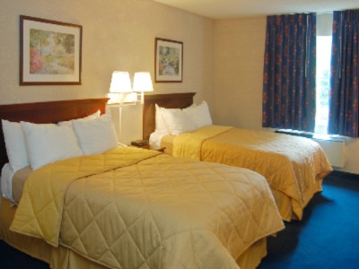 Comfort Inn - 