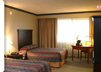 Miyako Hotel Los Angeles - Standard Room