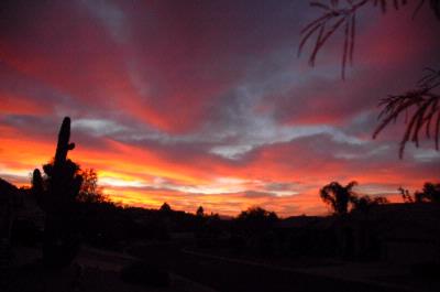 The Inn at Pima - 