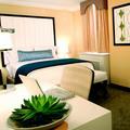 The Allerton Hotel Chicago - Standard Guest Room