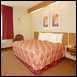 Sleep Inn - King Bed