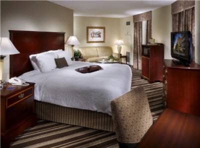 Hampton Inn & Suites at Beale Street - 
