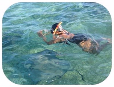 Belize Odyssey Resort - Snorkeling With Stingrays