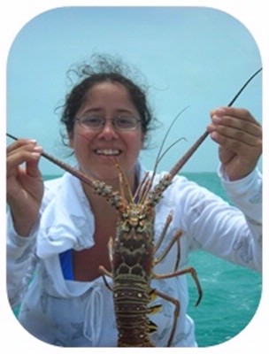 Belize Odyssey Resort - More Lobster