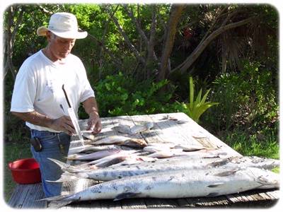 Belize Odyssey Resort - Catch Of The Day