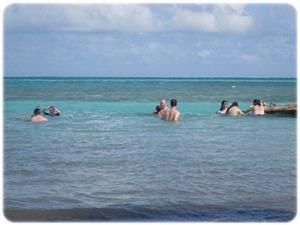 Belize Odyssey Resort - Swimmers In Always Warm Waters