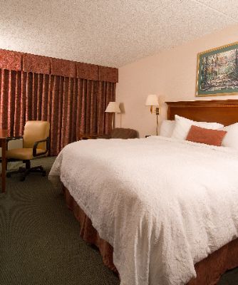 Hampton Inn Denver Southwest - King Standard Room
