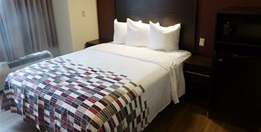Microtel Inn - Microtel Inn - One Queen Bed