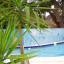 Tarponn Inn - Outdoor Pool