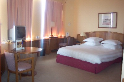 Radisson Blu Hotel Lyon - 