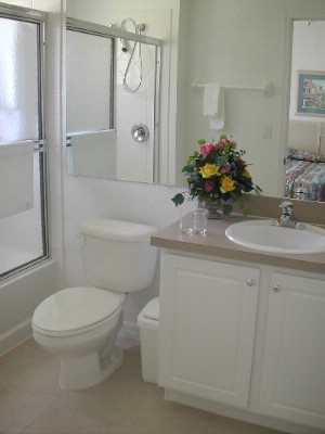 Hapimag Lake Berkley Orlando - Bathroom