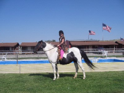 Girl By Pool On Pony