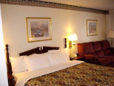 Sandman Inn - King Sofa Bed