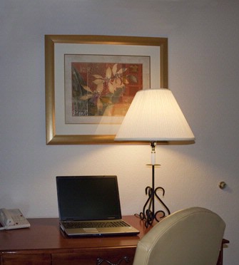 Holiday Inn Express & Suites - Holiday Inn Express Guestroom Desk Area
