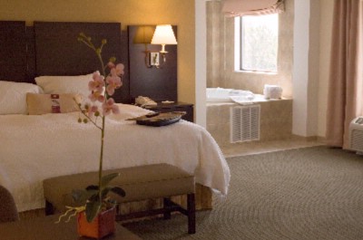 Hampton Inn & Suites Lino Lakes - King Whirlpool Studio Suite