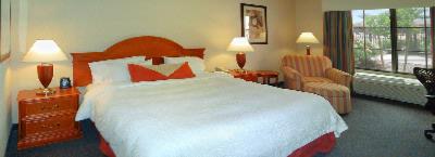 Hilton Garden Inn Las Vegas Strip South - 