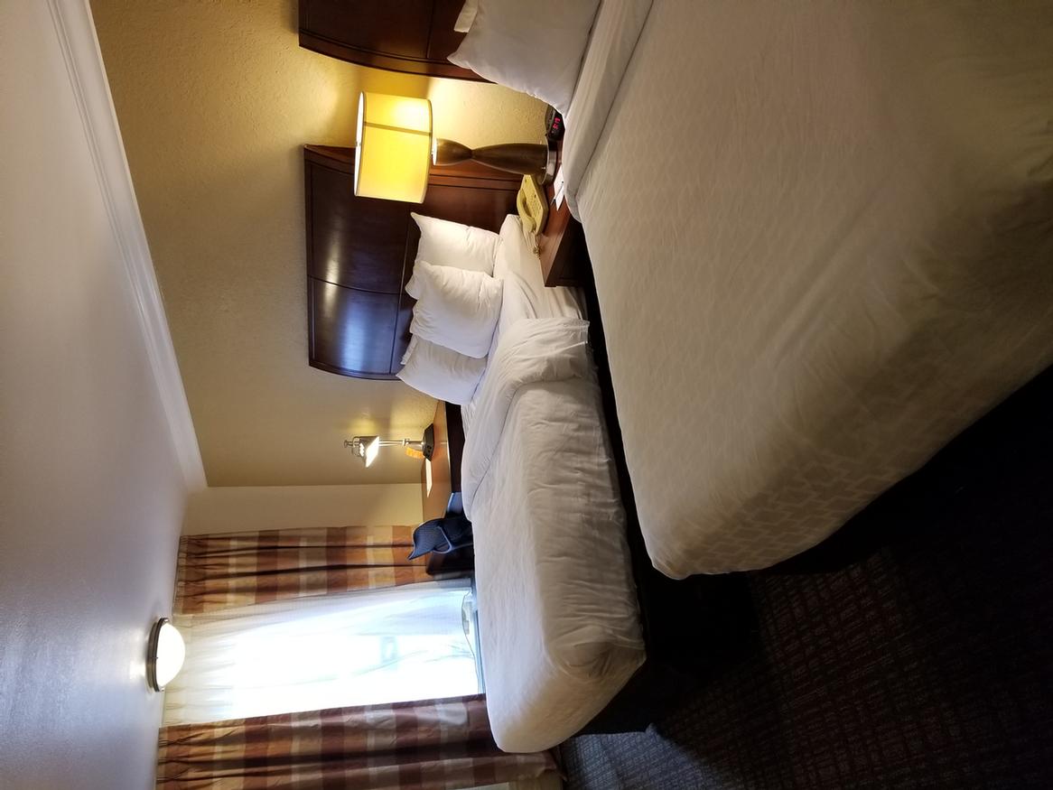 Clearwater Grand Hotel - Suite