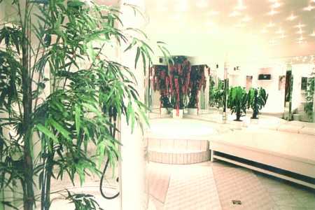Wellness area