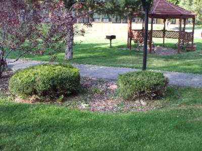 Terrace And Gazebo