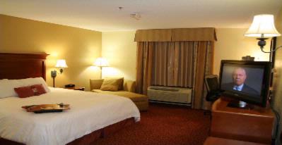 Hampton Inn & Suites - King Standard Room